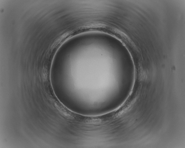 X0000072990833200607211156