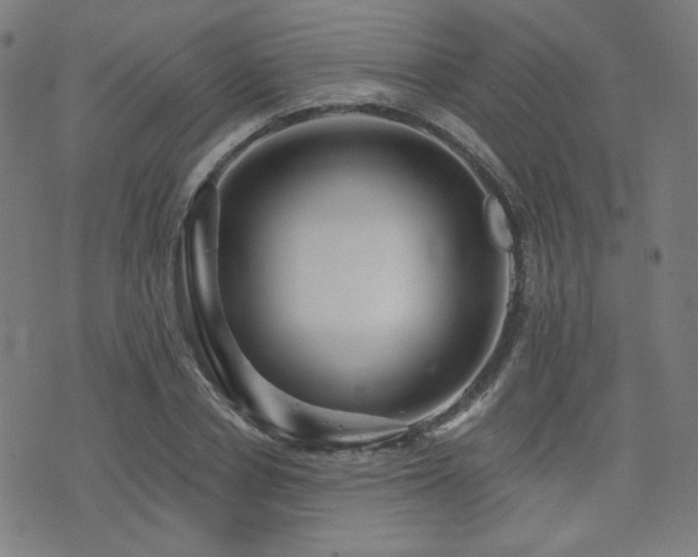 X0000072990834200607211156