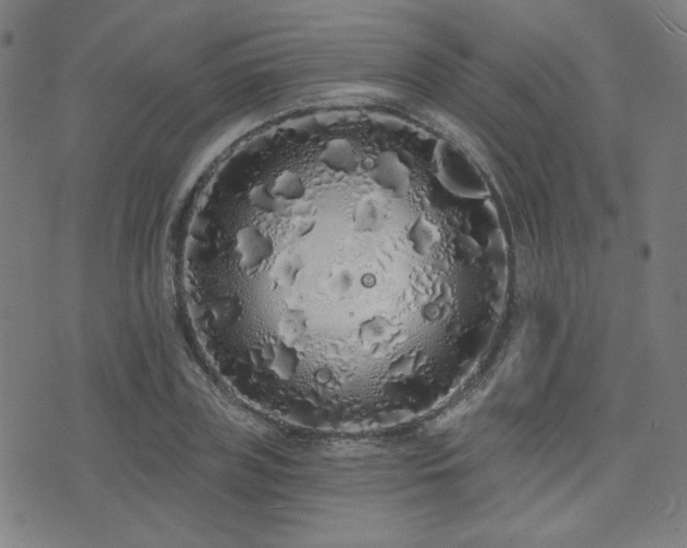 X0000072990835200607211156