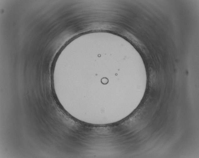 X0000072990836200607211156