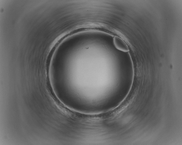 X0000072990837200607211157