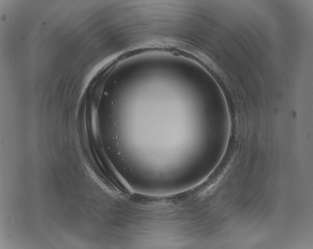 X0000072990838200607211157