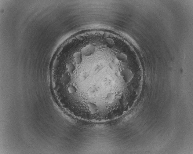 X0000072990839200607211157