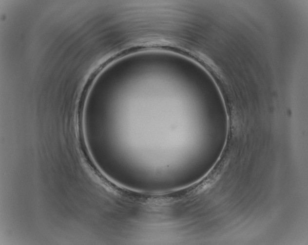 X0000072990840200607211157