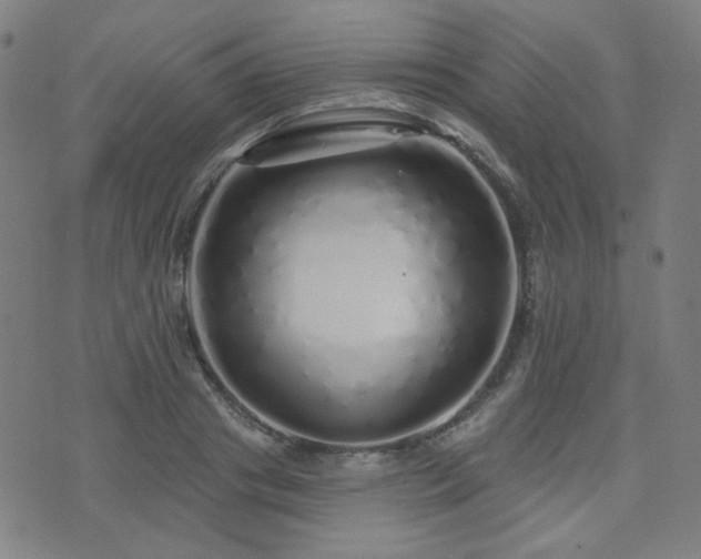 X0000072990841200607211157