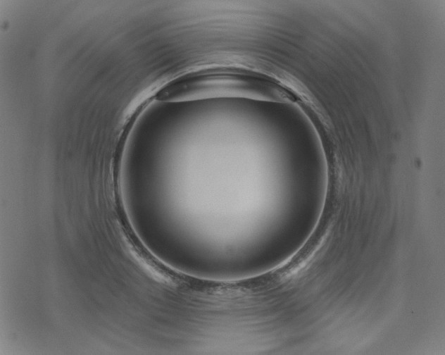 X0000072990842200607211157