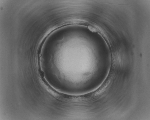 X0000072990843200607211157