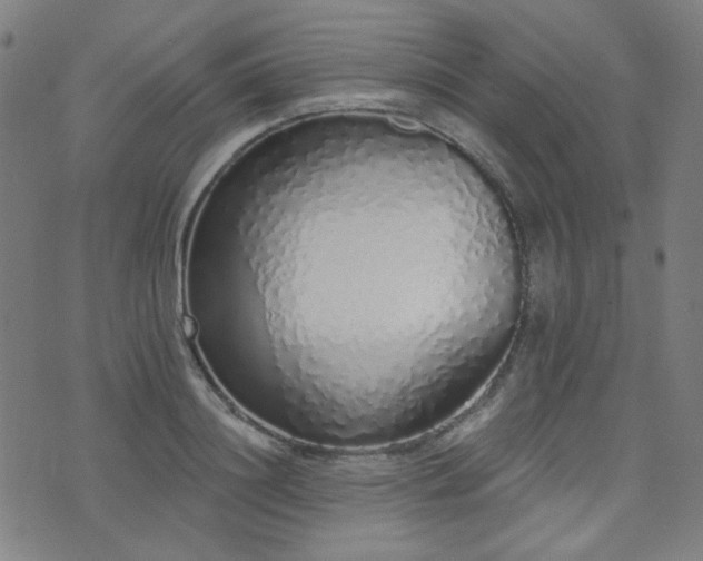 X0000072990844200607211157