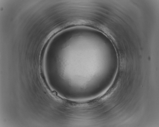 X0000072990845200607211157