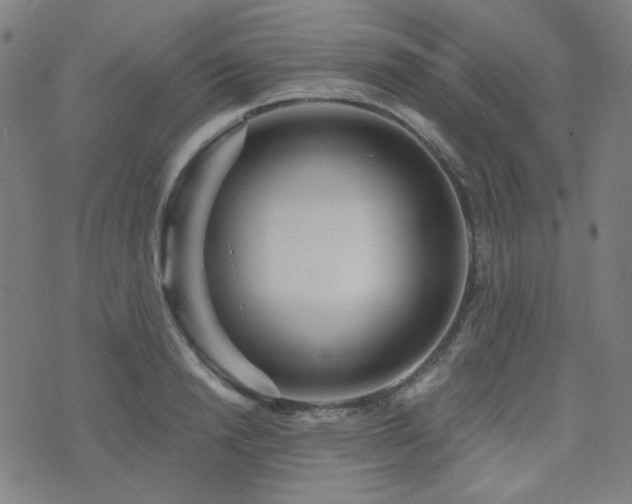 X0000072990846200607211157