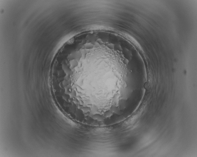 X0000072990847200607211157