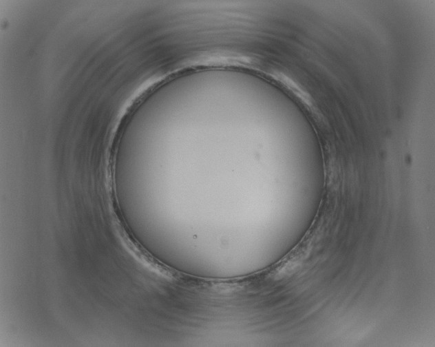 X0000072990848200607211157