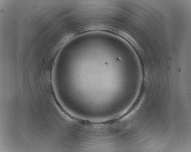 X0000072990849200607211157