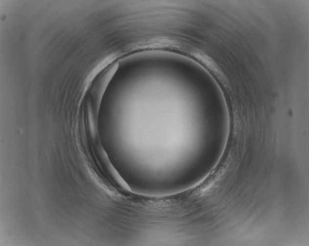 X0000072990850200607211157