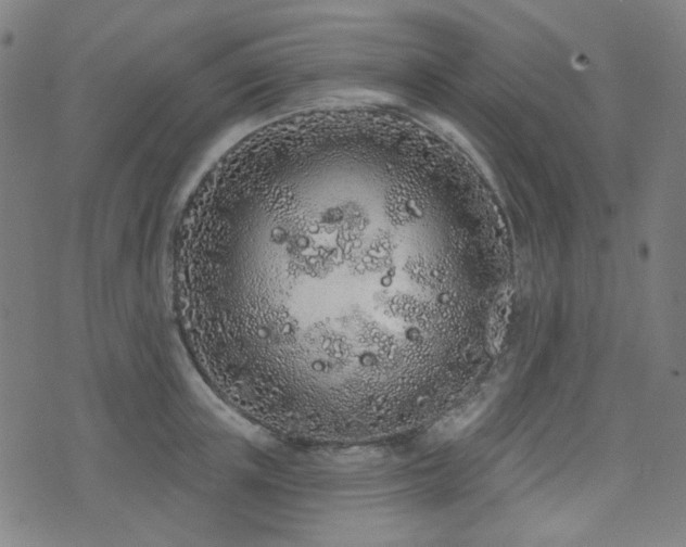 X0000072990851200607211157