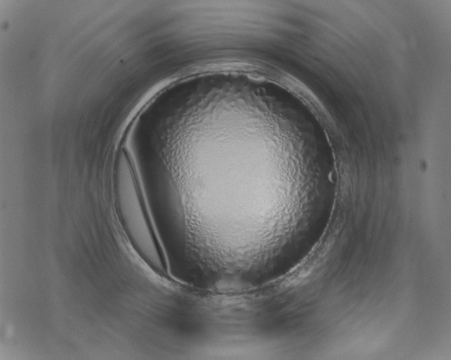 X0000072990852200607211157