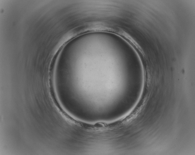 X0000072990853200607211157