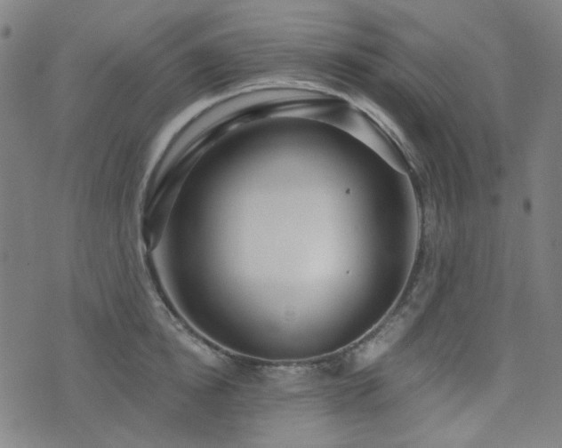 X0000072990854200607211157