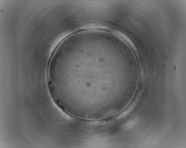 X0000072990855200607211157