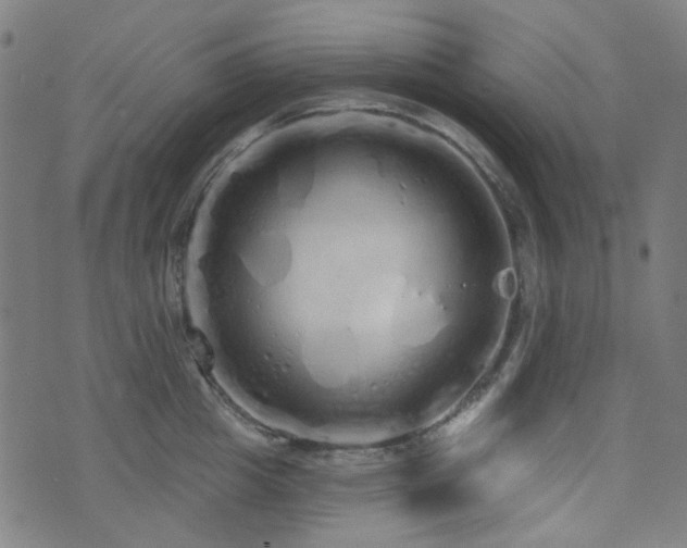 X0000072990857200607211157