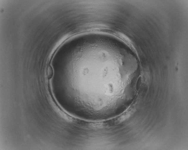 X0000072990859200607211157