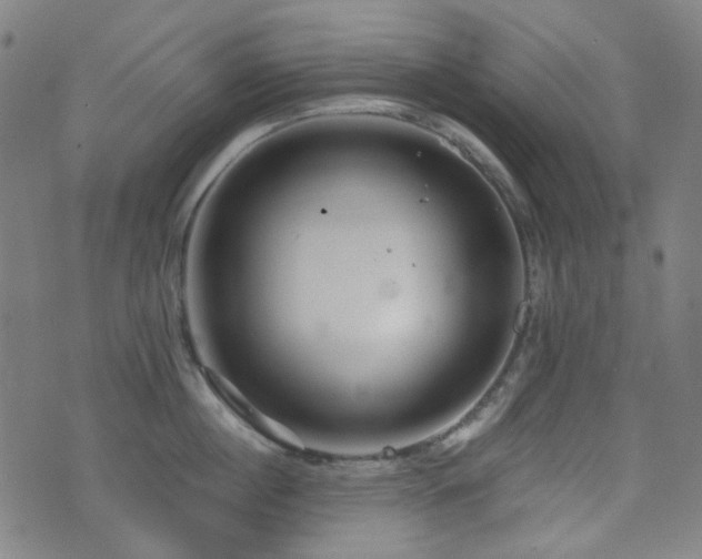 X0000072990860200607211157