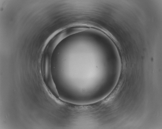 X0000072990862200607211157