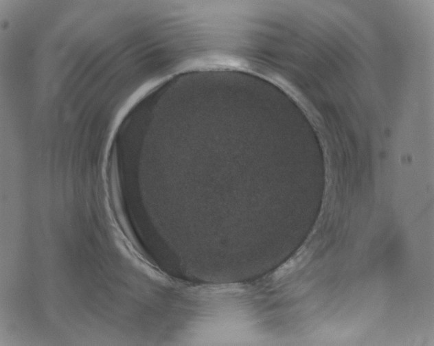 X0000072990864200607211157