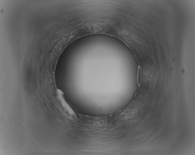 X0000072990865200607211156