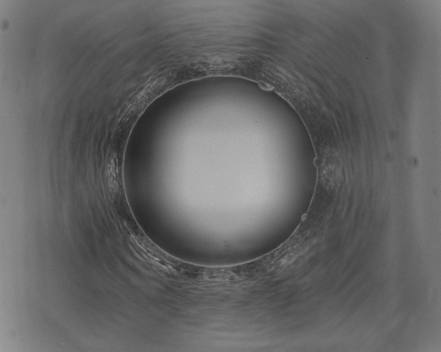 X0000072990866200607211156