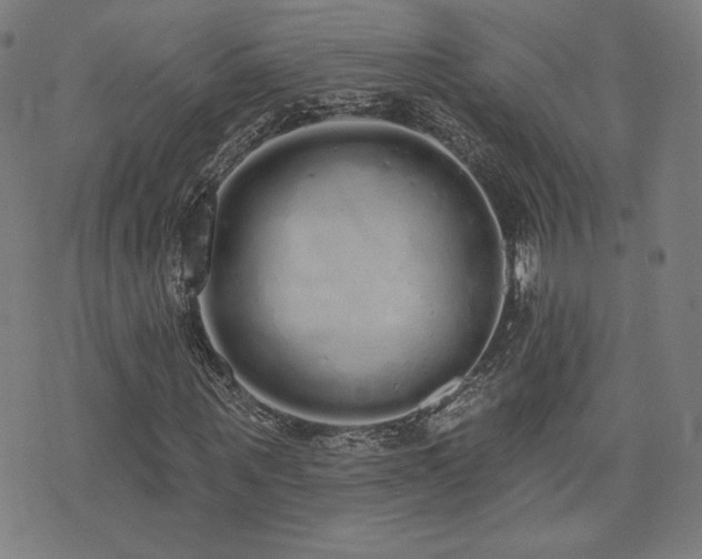 X0000072990867200607211156