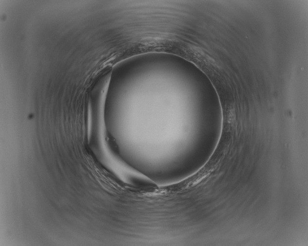 X0000072990868200607211156