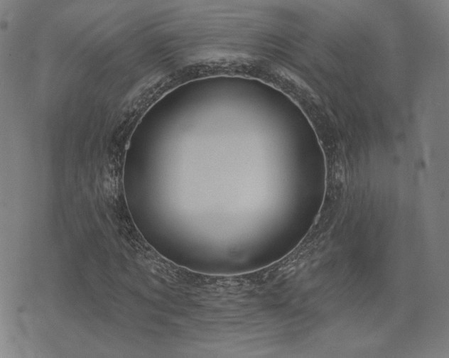 X0000072990869200607211156