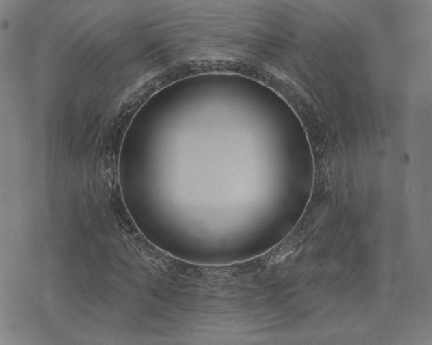 X0000072990870200607211156