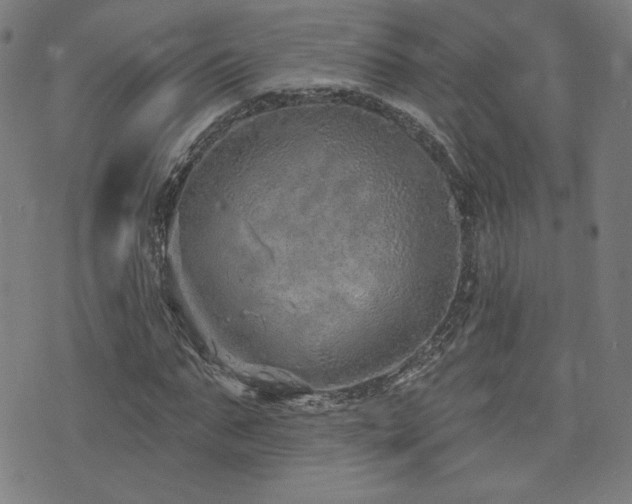 X0000072990871200607211156