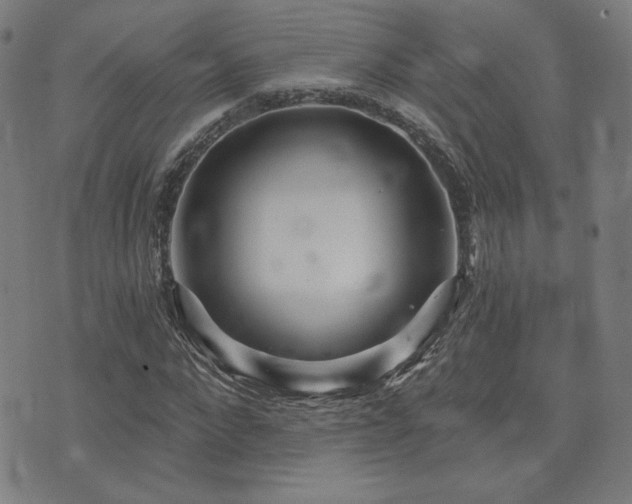 X0000072990872200607211156