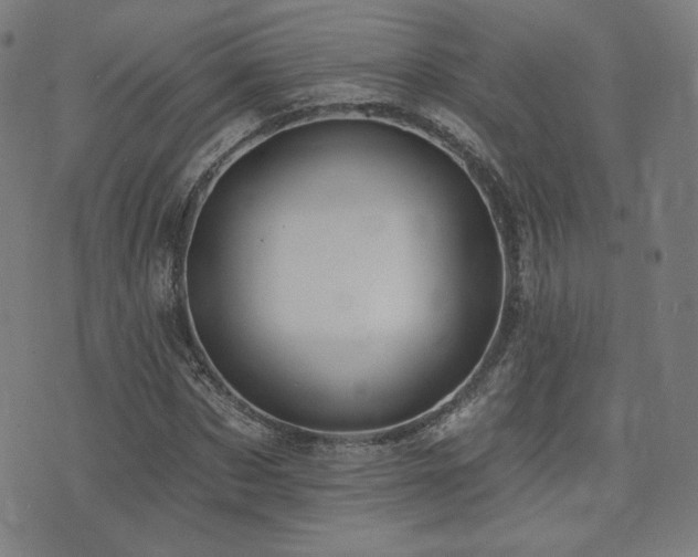 X0000072990873200607211156