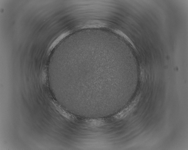 X0000072990874200607211156