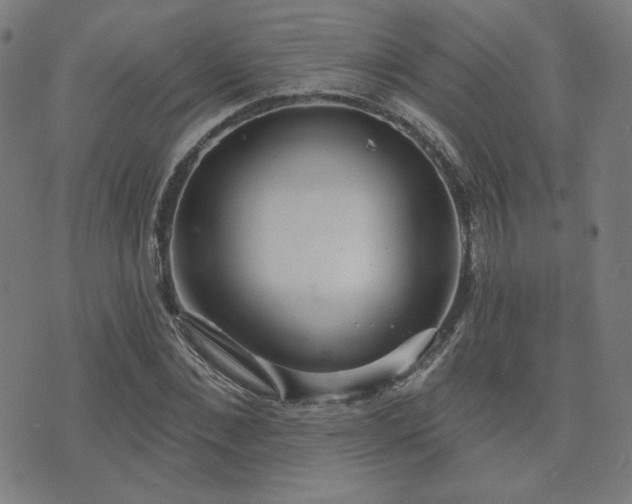 X0000072990876200607211156