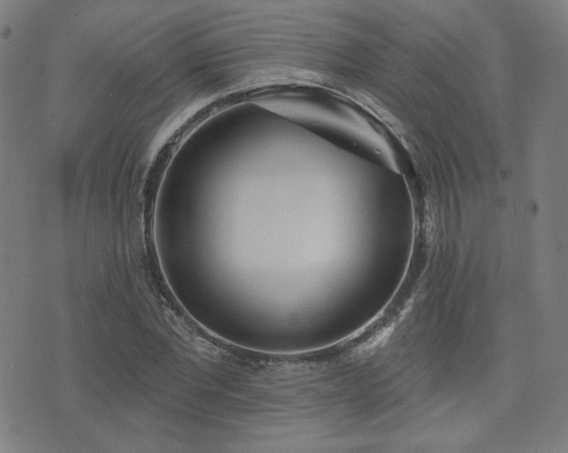 X0000072990877200607211156