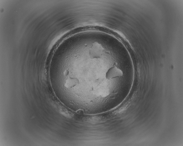 X0000072990879200607211156