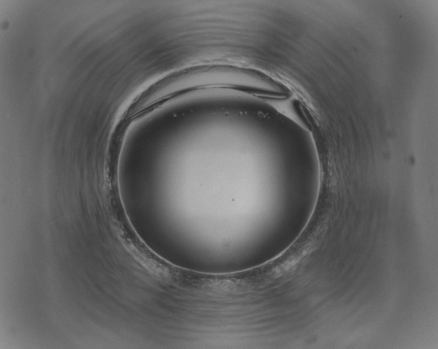 X0000072990880200607211156