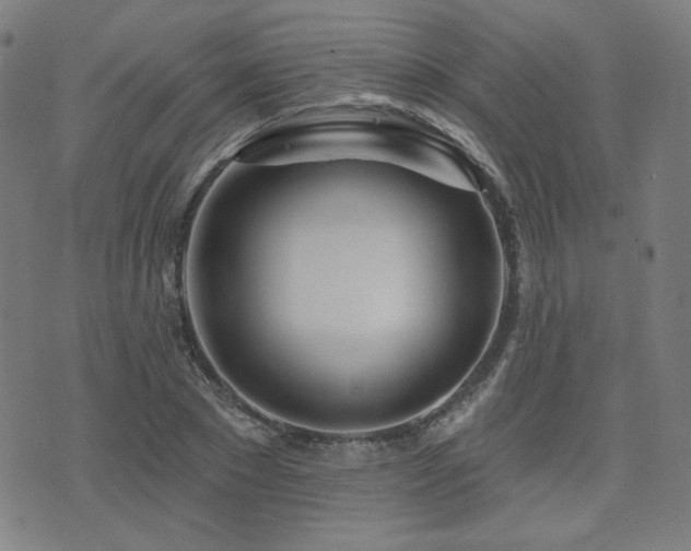 X0000072990881200607211156