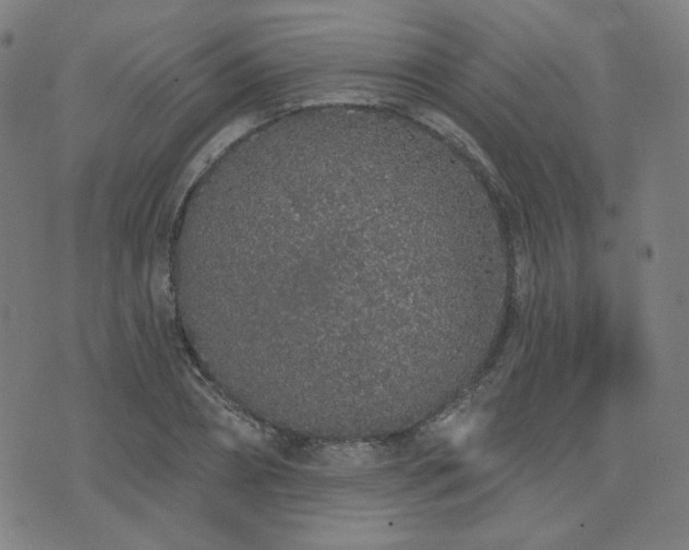 X0000072990882200607211156