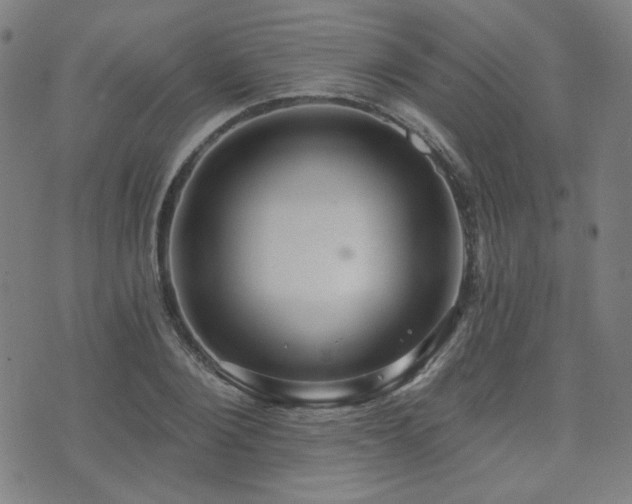 X0000072990884200607211156