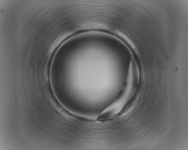 X0000072990885200607211156