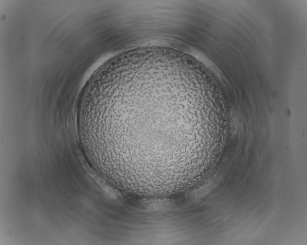 X0000072990886200607211156