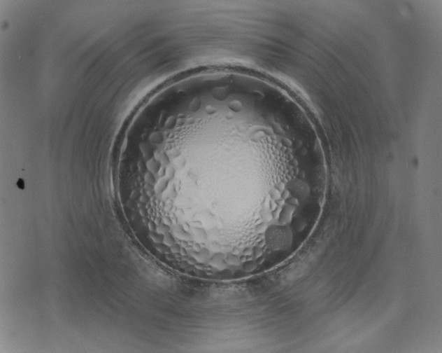 X0000072990887200607211156