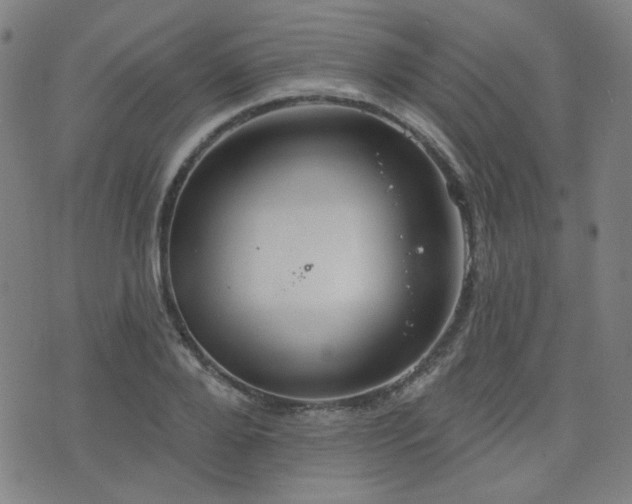 X0000072990888200607211156