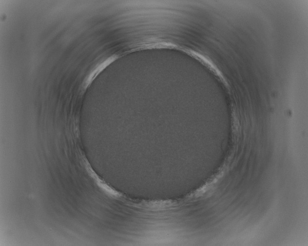 X0000072990889200607211156